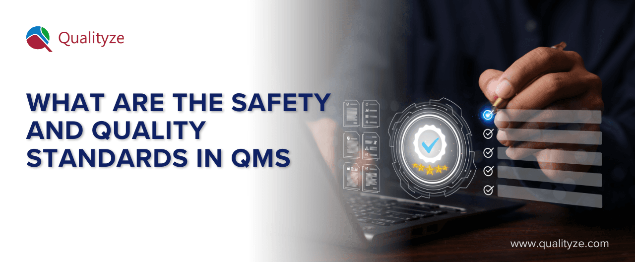 What are the Safety and Quality Standards in QMS?
