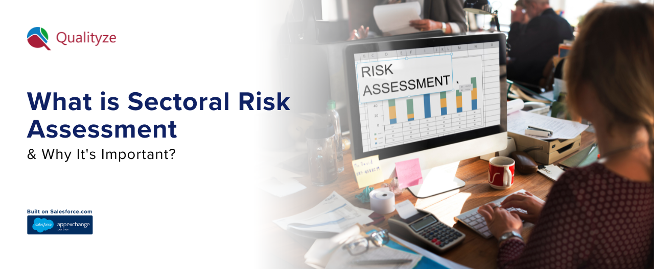What is Sectoral Risk Assessment & Why It's Important?