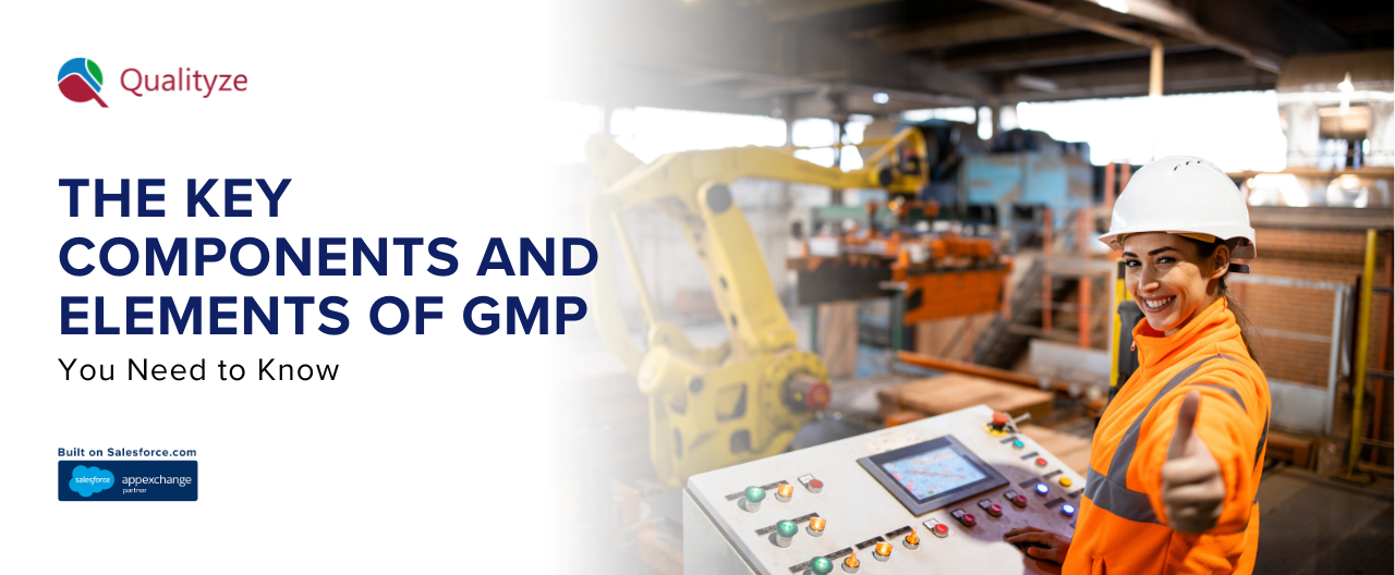 Key Components and Elements of GMP