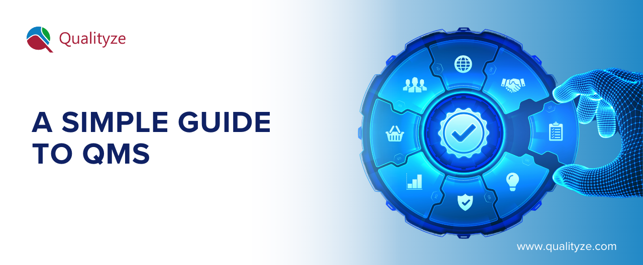 What is Quality Management System (QMS)