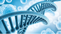 Life Sciences